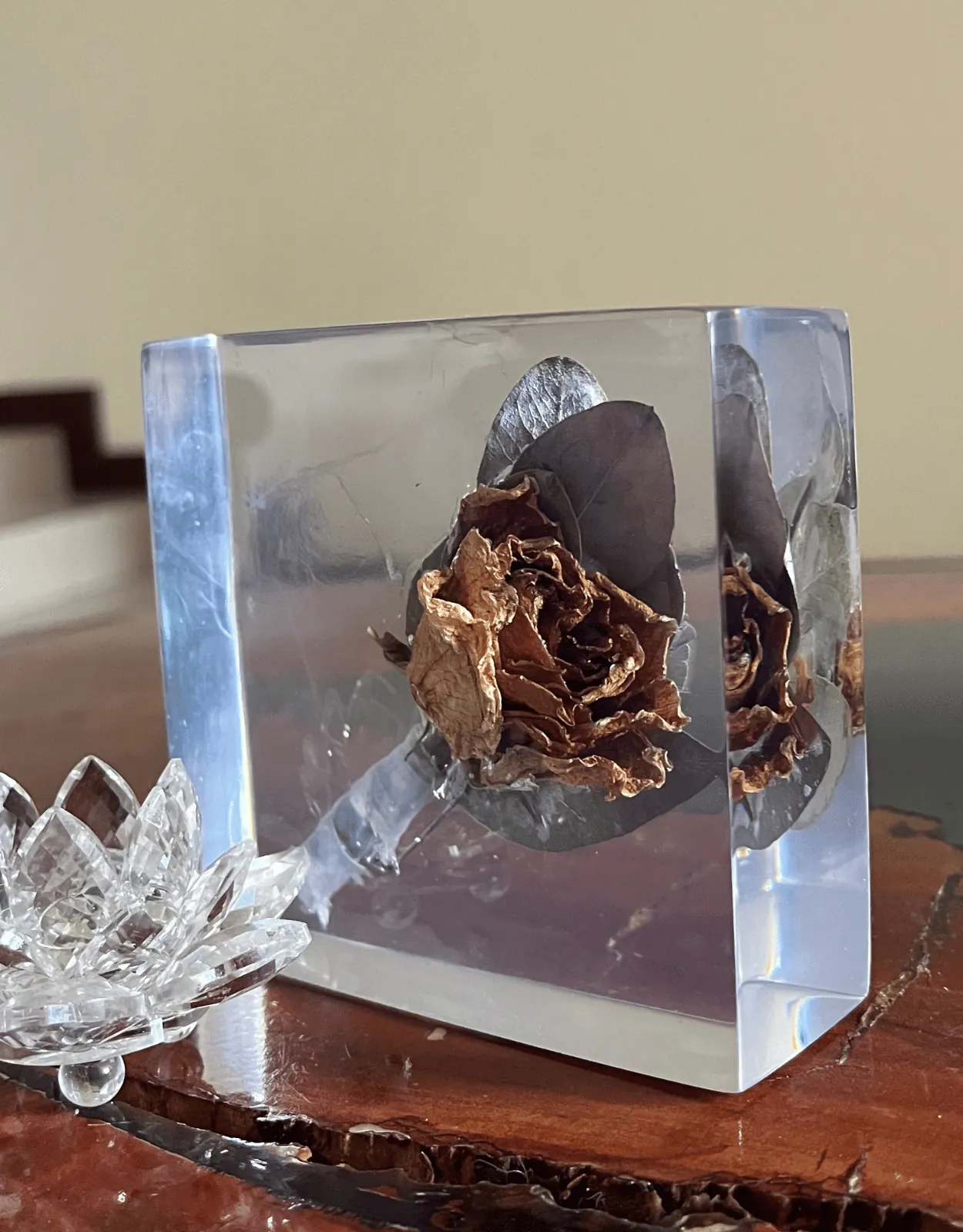 Rosa dorada encapsulada en un bloque de resina transparente